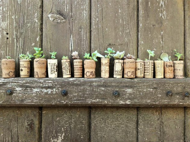 優(yōu)雅的軟木